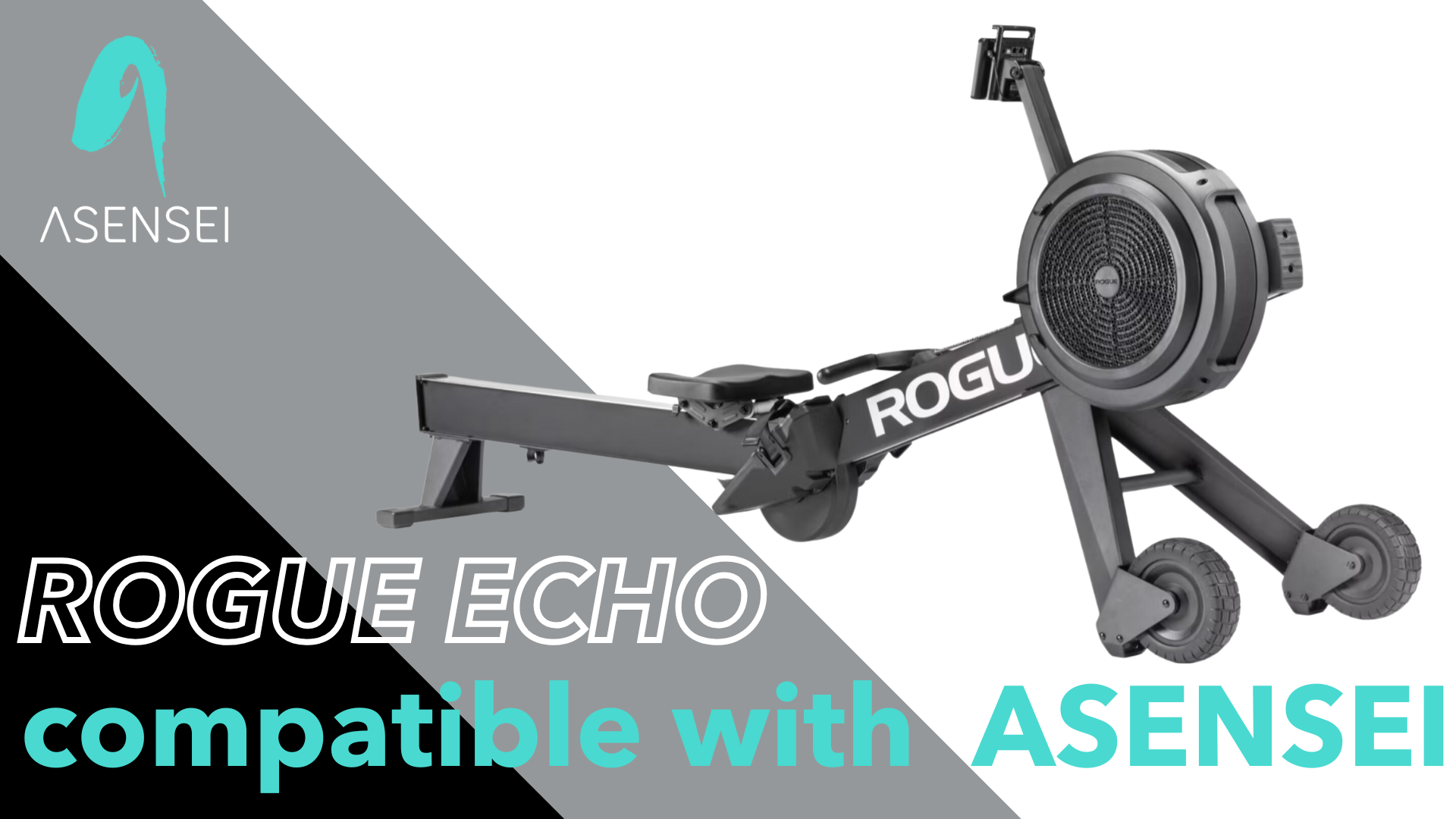 Rogue Echo compatible with asensei (1920 x 1080px).png